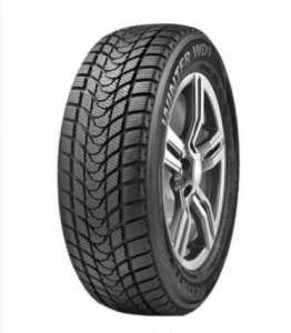 Delinte Winter WD1