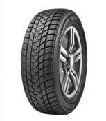 Delinte Winter WD1